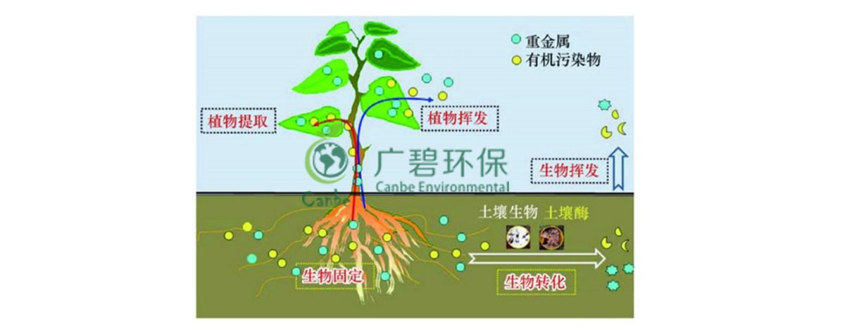 土壤污染防治基础知识(图3)