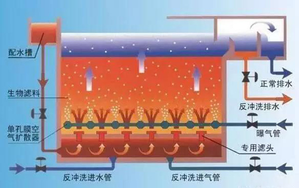 曝气池和曝气生物滤池有什么区别