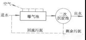 活性污泥是什么？活性污泥降解污水过程(图1)