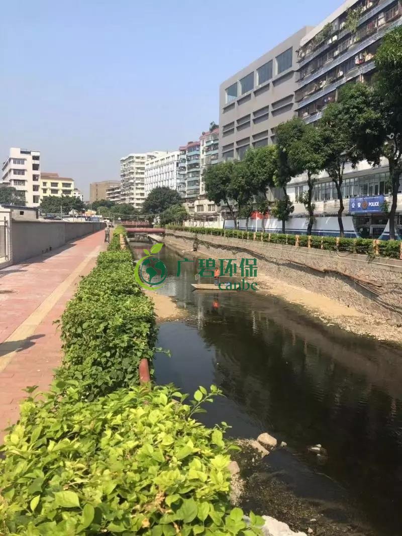 广州白云区棠景沙涌已完成雨污分流(图2)