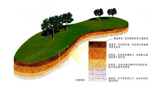 土壤这层地球的皮肤有多厚？(图1)