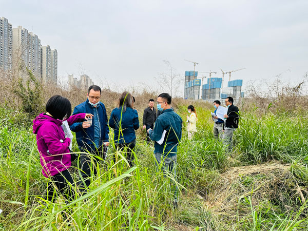 乐从小布村原钢铁市场一地块通过专家评审